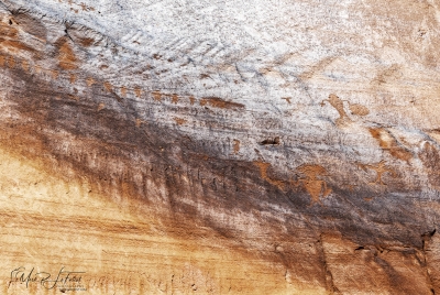 Petroglyphs Canyonlands NP June 2025